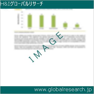グローバルリサーチ調査レポートのイメージ